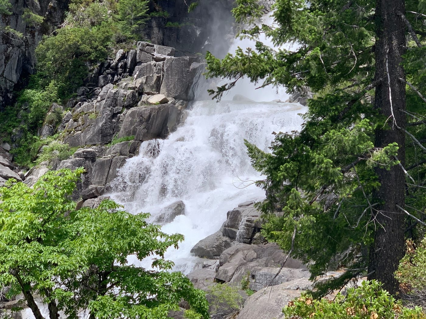 Waterfall crashing down a rocky alpine cliff beside evergreens.