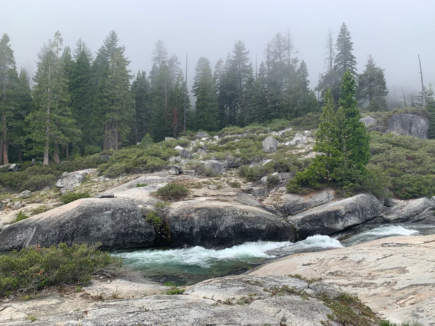 Stream winding through misty granite and pines.