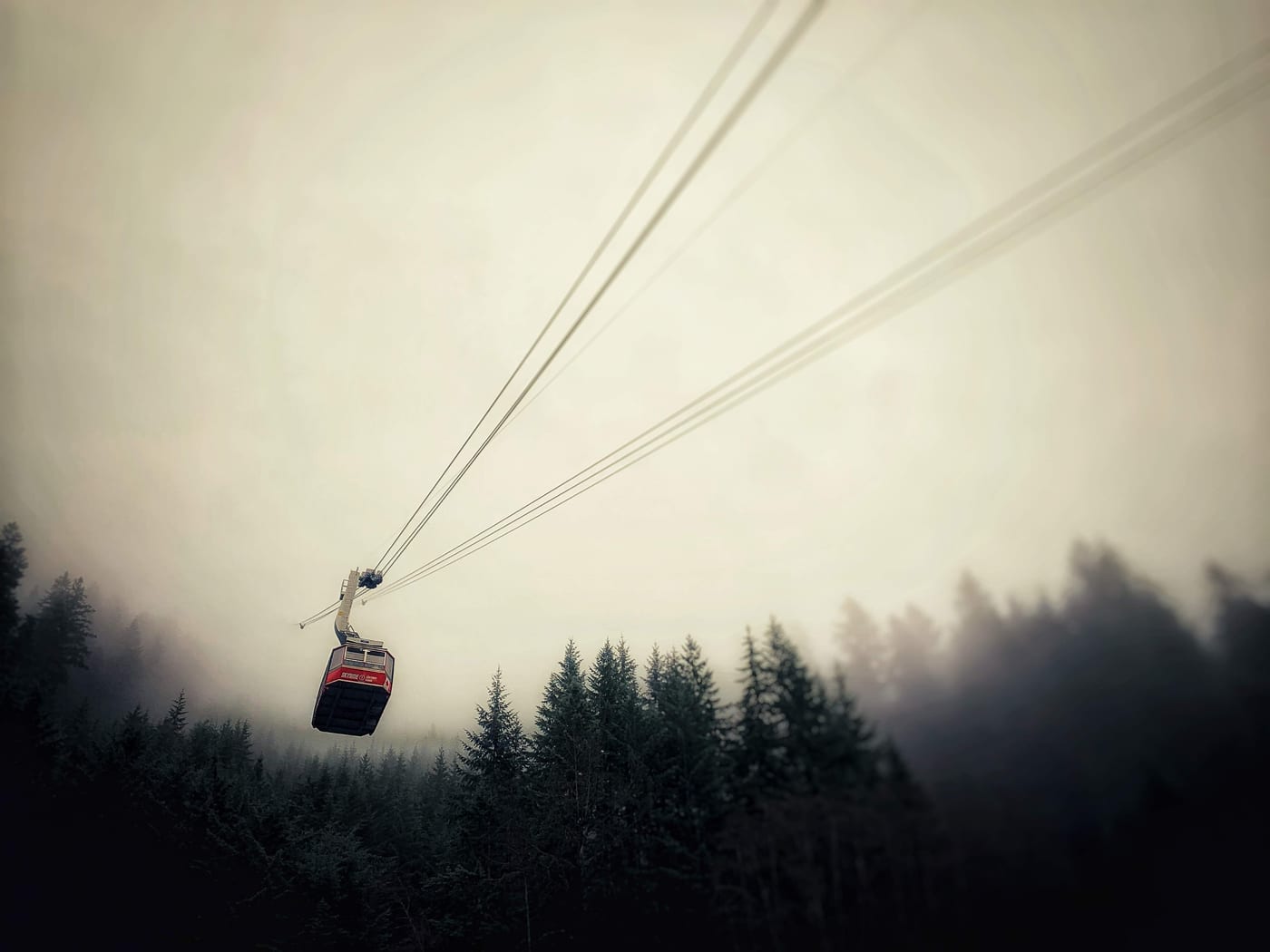 Cable car hanging over a foggy evergreen valley.