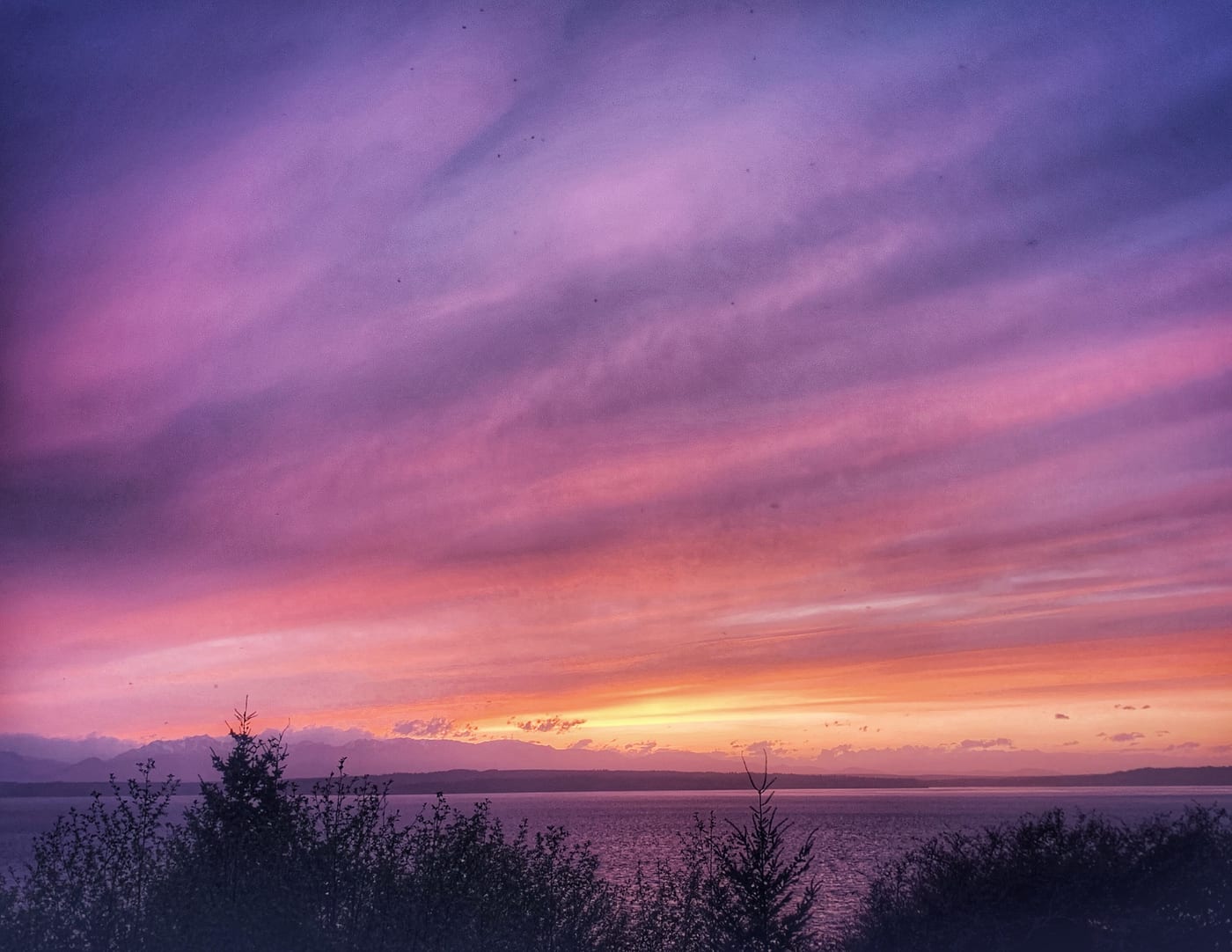 Violet and pink clouds streaked over a dusk horizon.