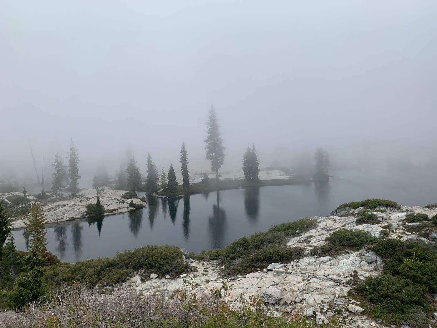 Fogbound trees on a rocky lakeshore.