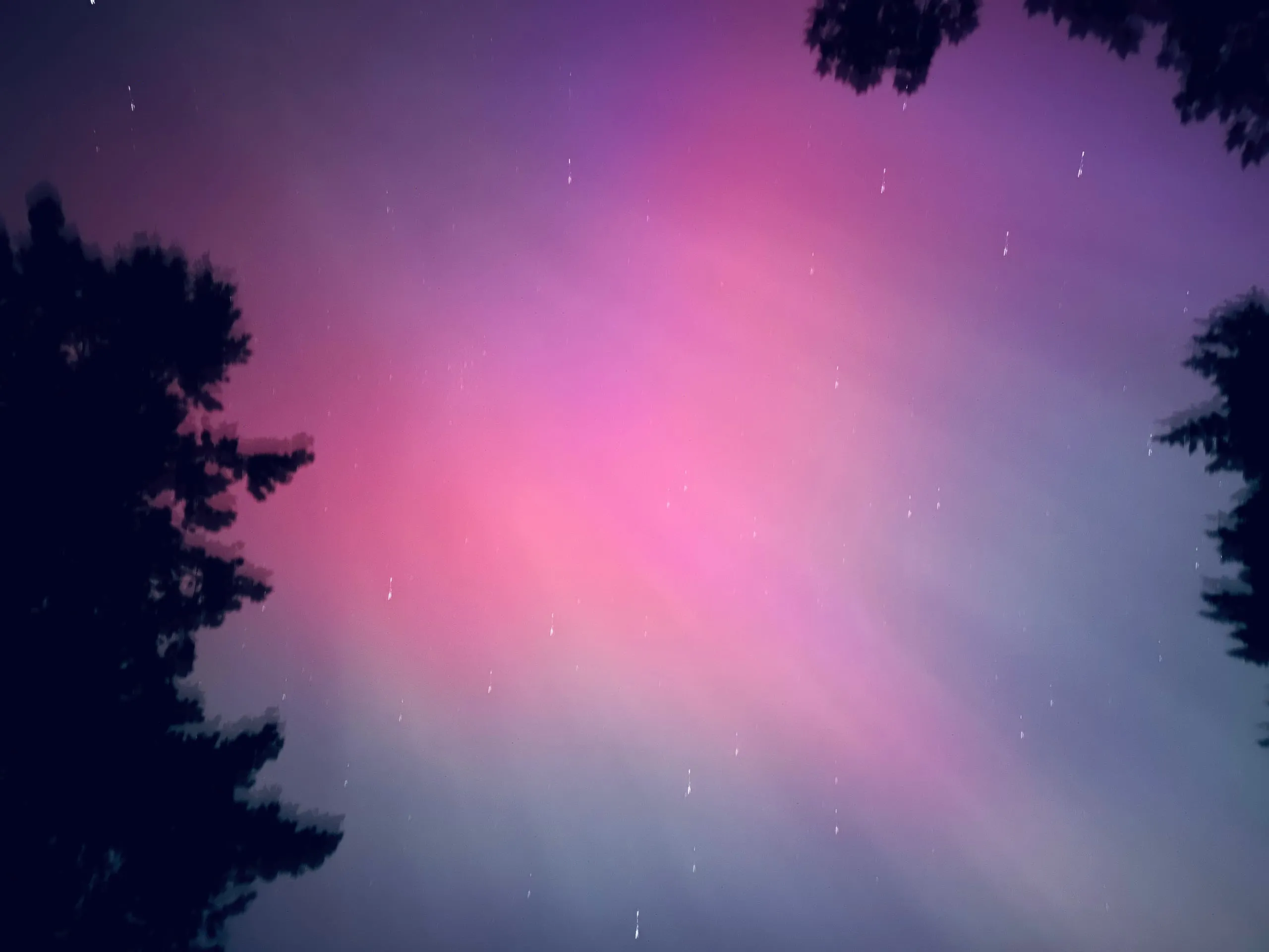 The northern lights, shot from the backyard.