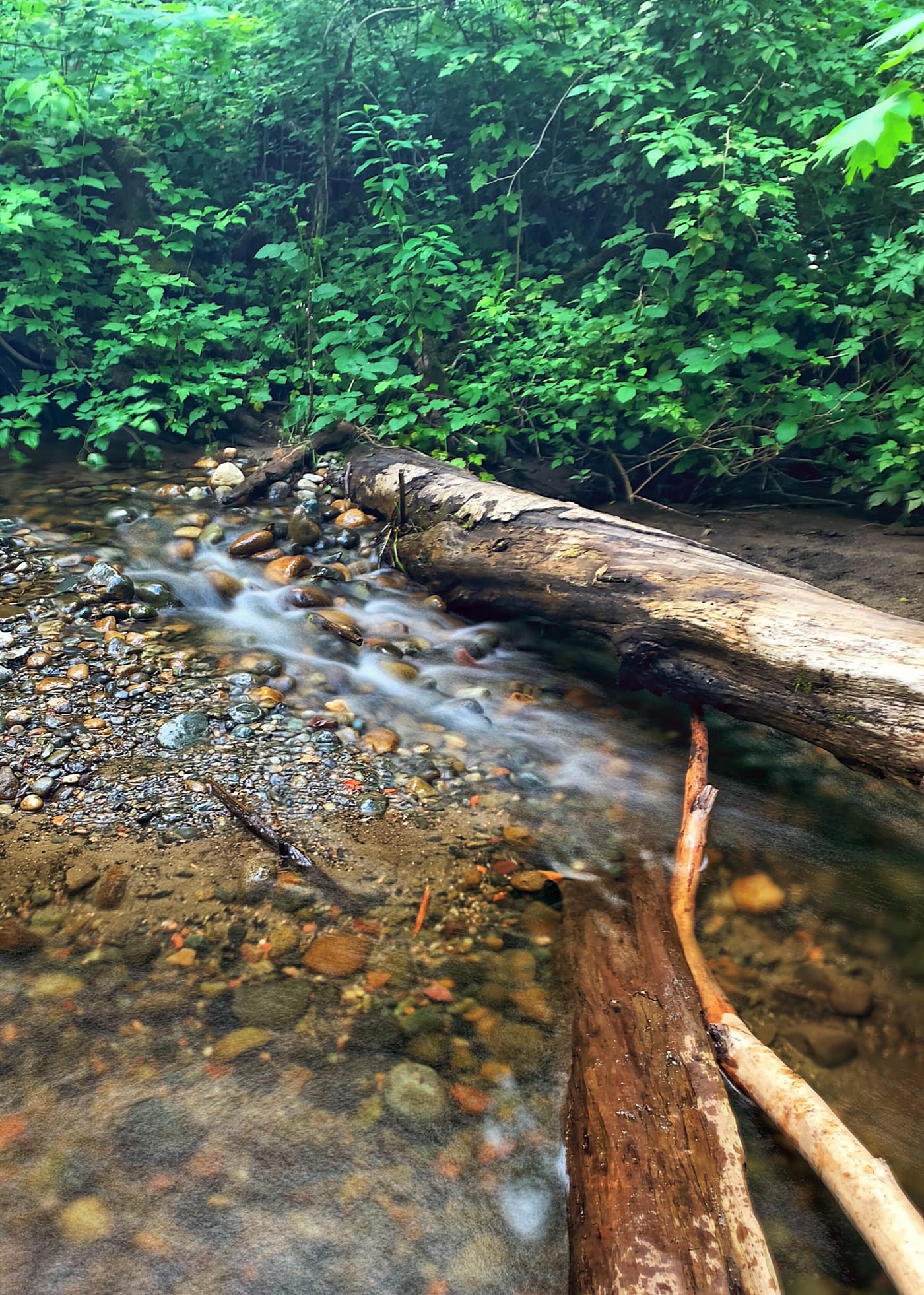 Clear stream running over stones past a driftwood log.