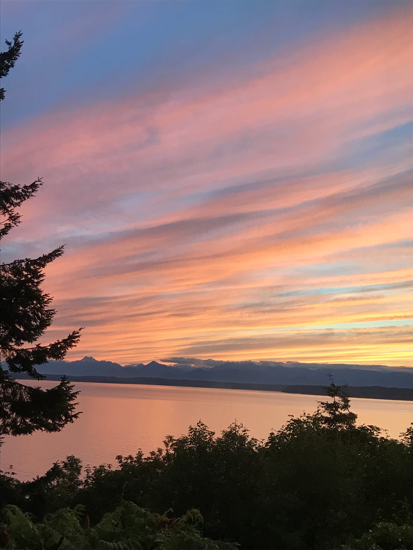 Pink clouds fanned over the Sound at dusk.