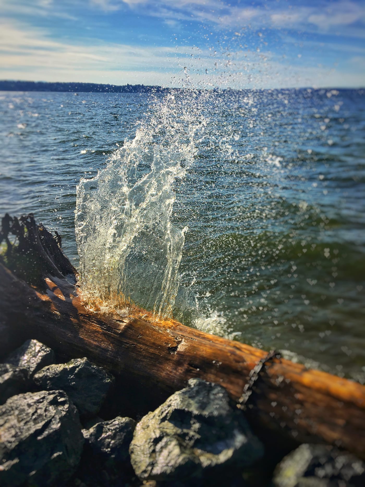 Water bursting off a driftwood log.
